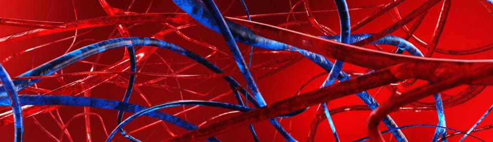 - Eating Disorder Solutions While Keeping Your Breathing