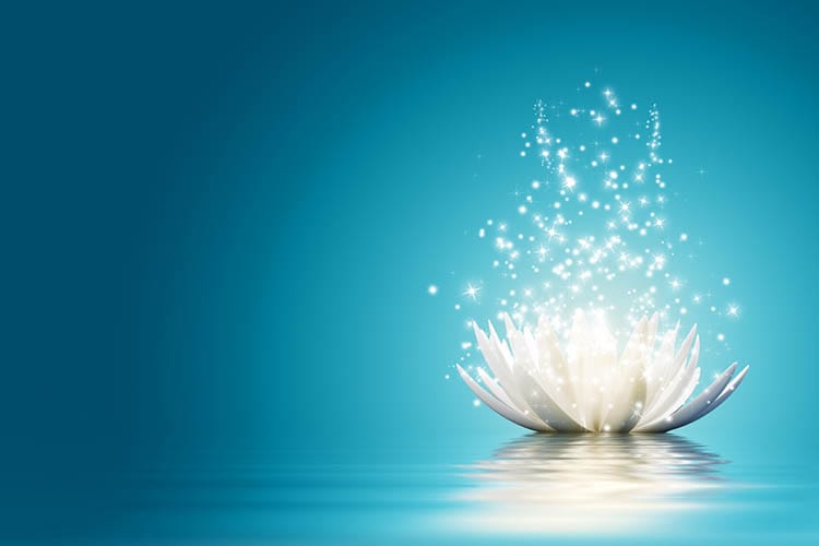 - Eating Disorder Solutions Meditation 2