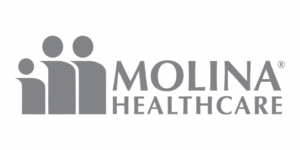 Molina Insurance Logo Grey
